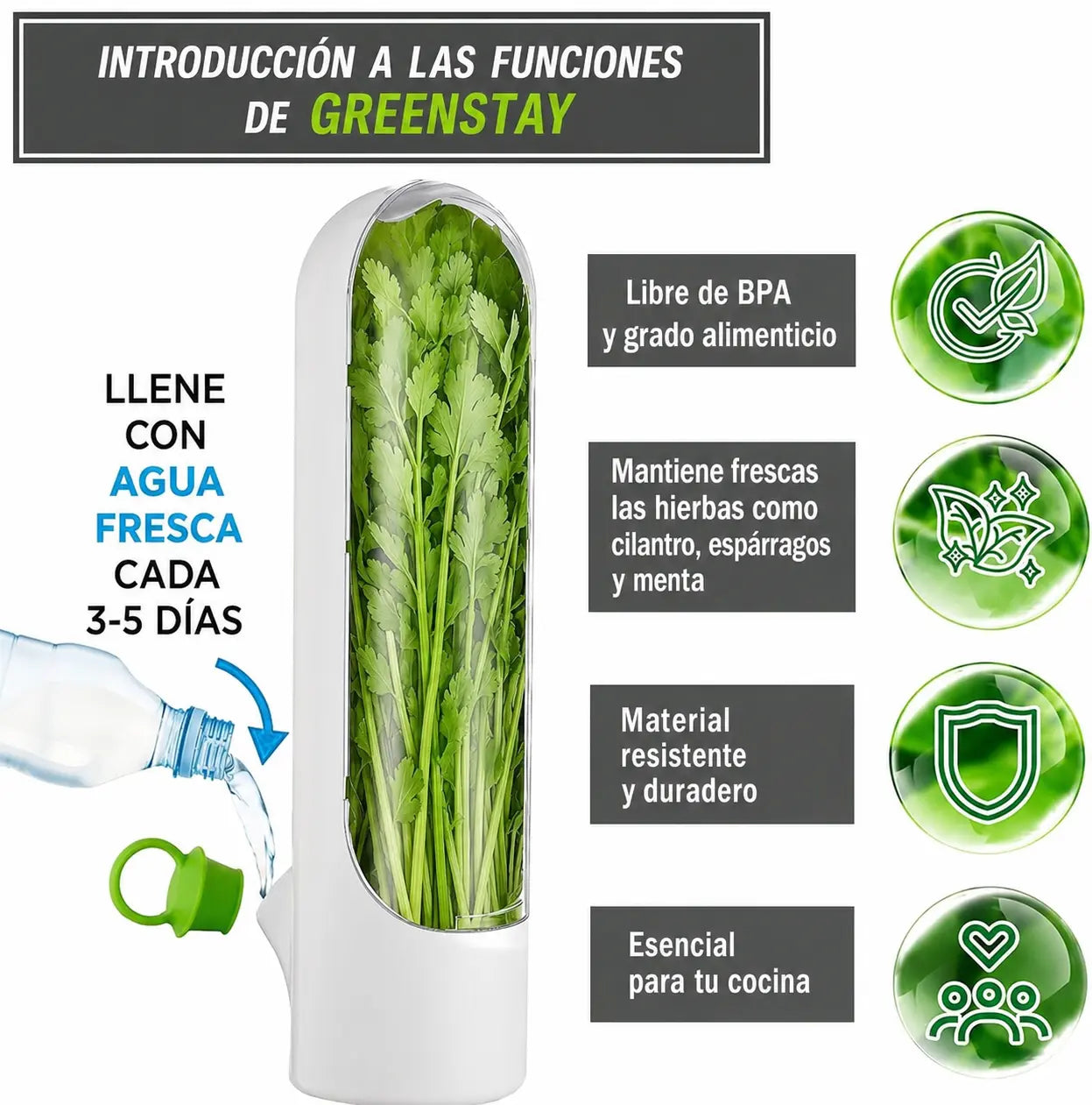 GreenStay™ | Conservador de Vegetales