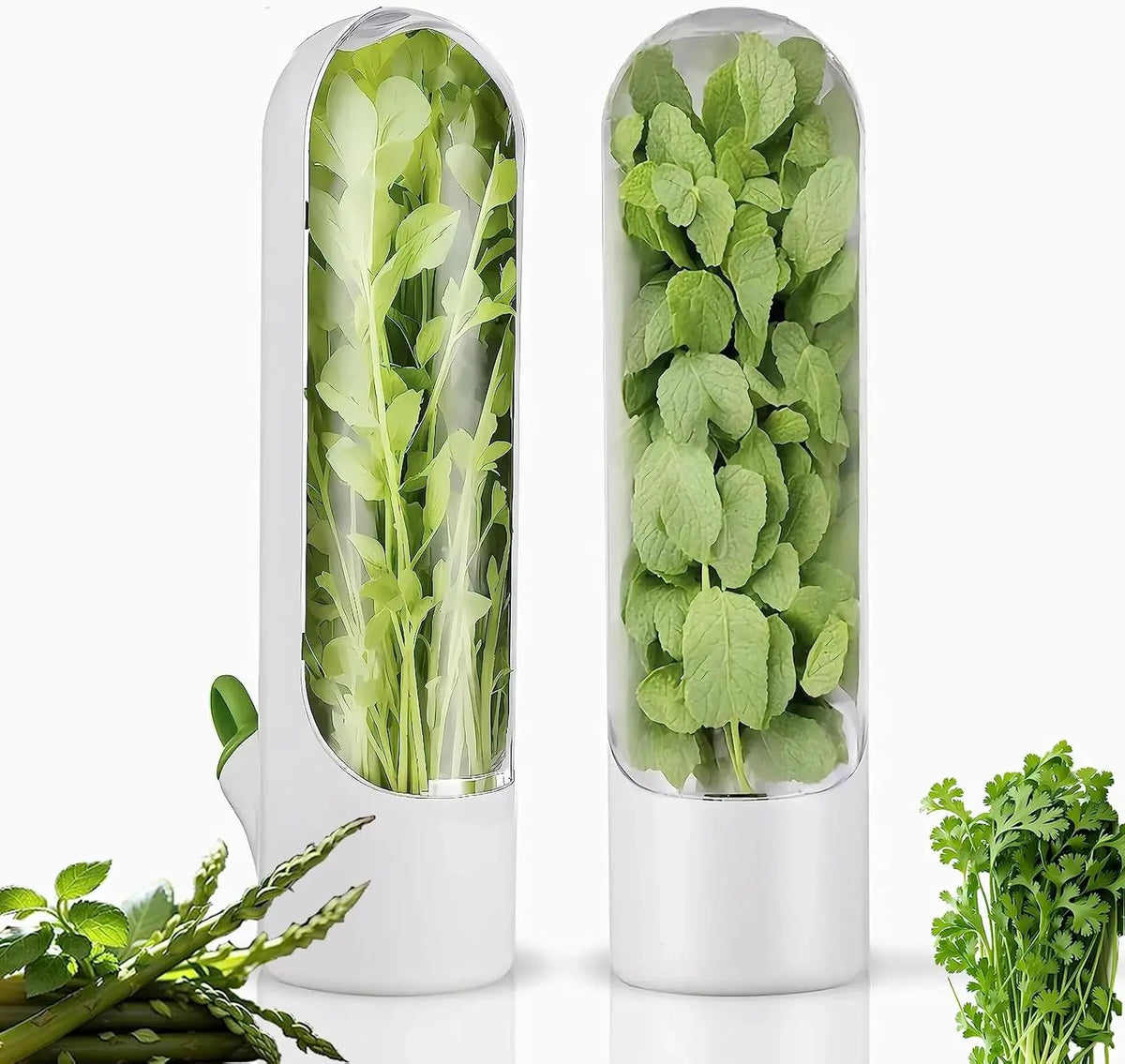 GreenStay™ | Conservador de Vegetales